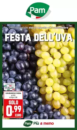 Festa dell'uva
