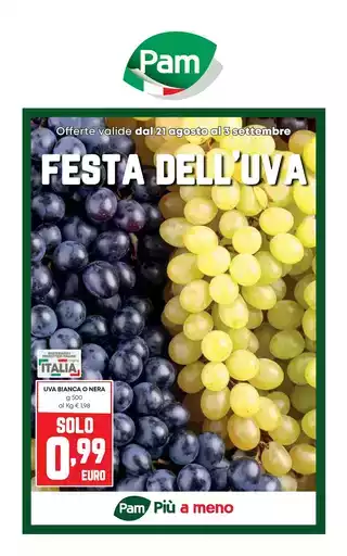 Festa dell'Uva Festa dell'Uva