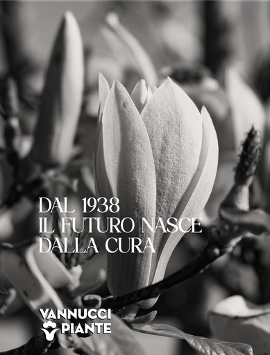 Dal 1938 il futuro nasce dalla cura Dal 1938 il futuro nasce dalla cura
