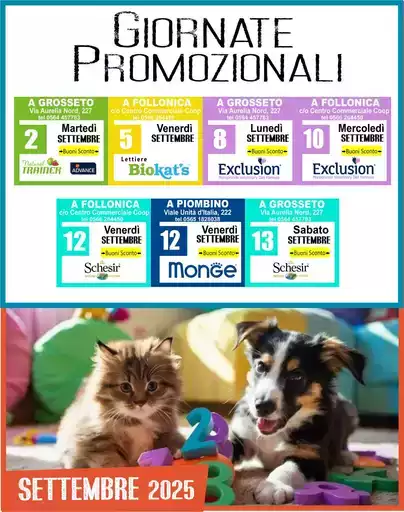 Giornate Promozionali Giornate Promozionali