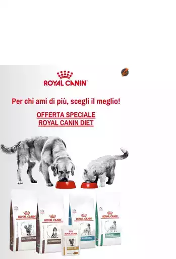 Offerte Speciale Offerte Speciale