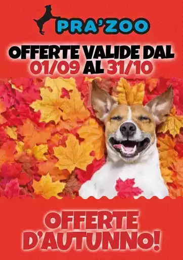 Offerte D'autunno! Offerte D'autunno!