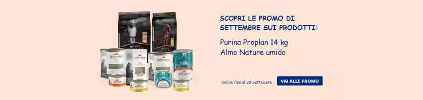 Online fino al 28 settembre
