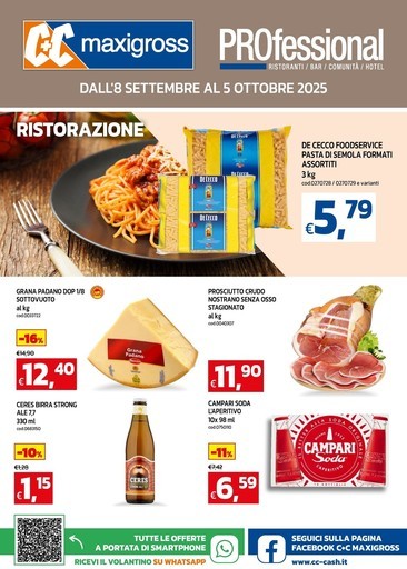 Professional ristoranti, bar, comunità, hotel