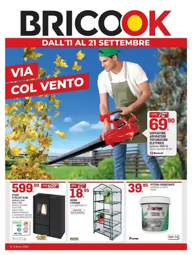 Via col vento