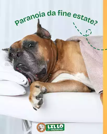 Paranoia da fine estate?