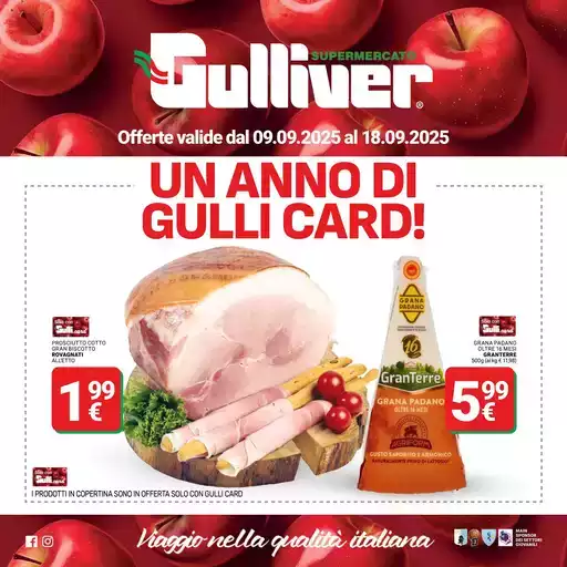 UN ANNO DI GULLI CARD! UN ANNO DI GULLI CARD!