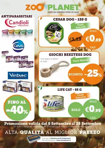 Le nostre migliori offerte per te