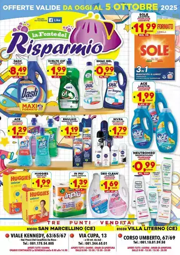 La fonte del Risparmio