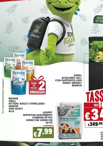 Tassso 0% Tassso 0%
