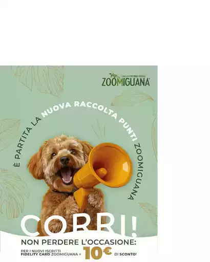 Offerte esclusive e affari