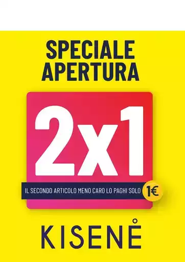 2x1