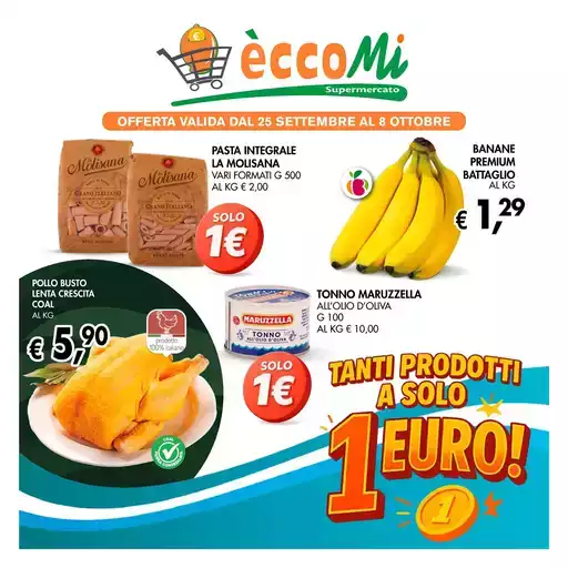 Eccomi Plus!