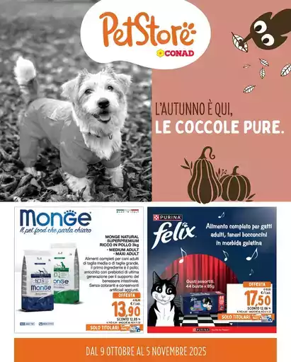 L'autunno e qui, le coccole pure.