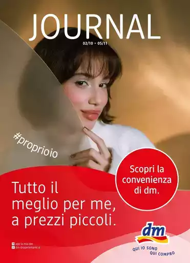 Journal