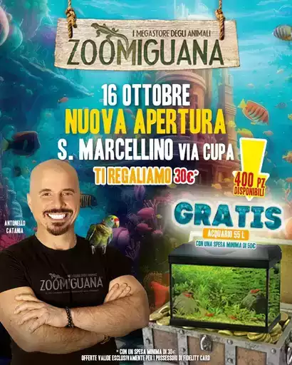 Offerte per cacciatori di affari Offerte per cacciatori di affari