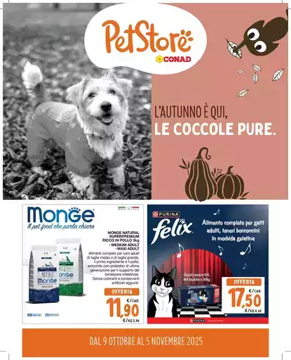 L'AUTUNNO E' QUI , LE COCCOLE PURE
