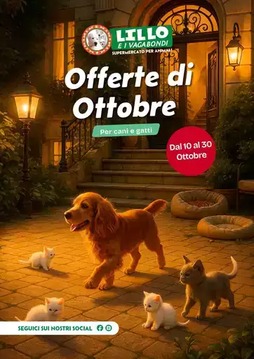 Offerte di ottobre Offerte di ottobre