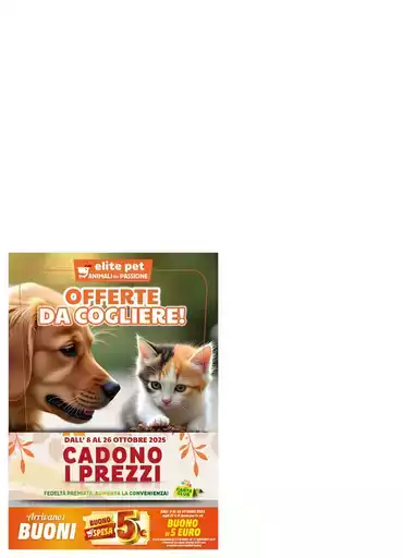 Offerte da cogliere! Offerte da cogliere!