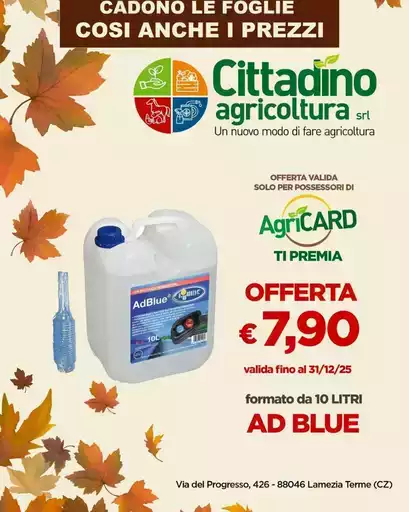 Cadono le foglie cosi anche i prezzi Cadono le foglie cosi anche i prezzi