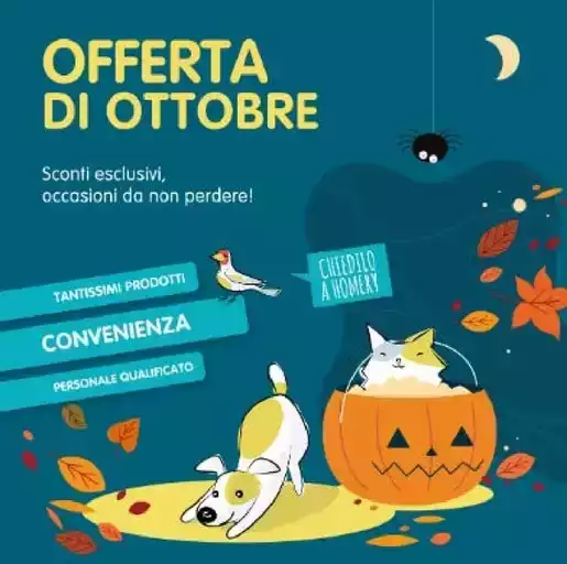Offerte di ottobre