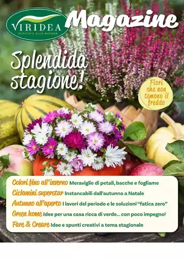 Splendida stagione! Splendida stagione!