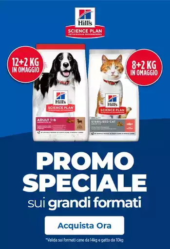 Promo speciale Promo speciale