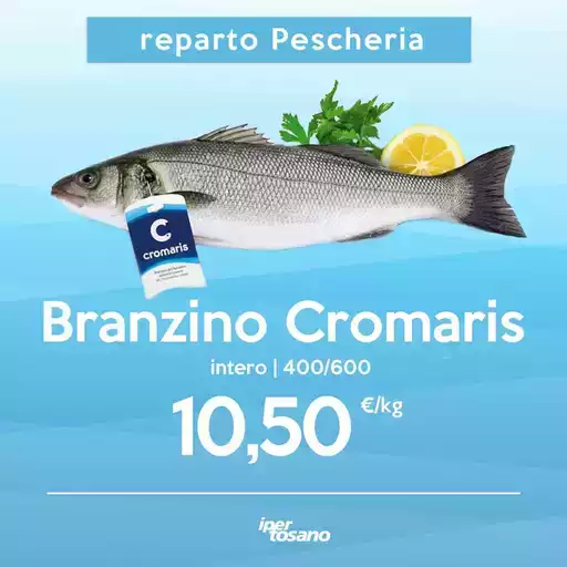 Offerte Offerte