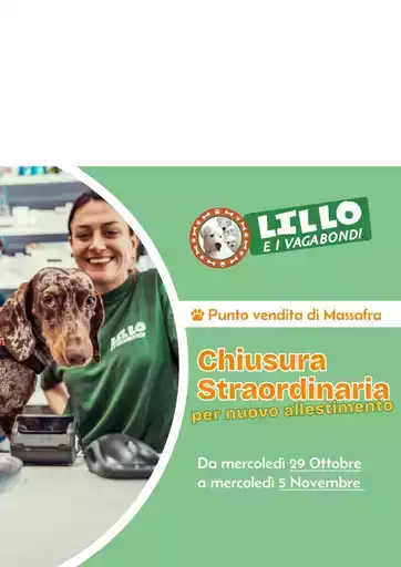 Offerte Lillo e i vagabondi Offerte Lillo e i vagabondi