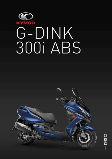 G-Dink 300i