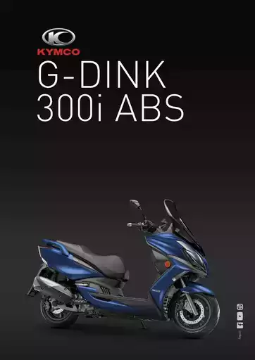 G-Dink 300i G-Dink 300i