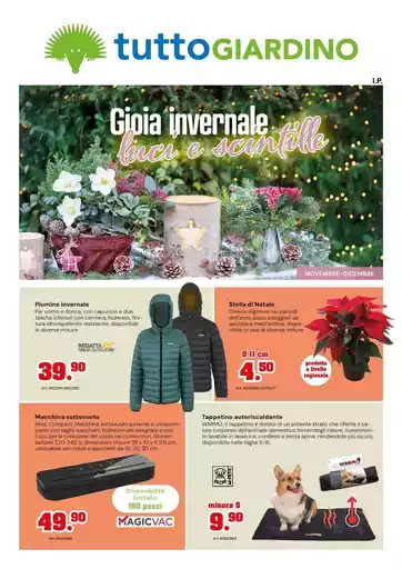 Gioia invernale, luci e scintille Gioia invernale, luci e scintille