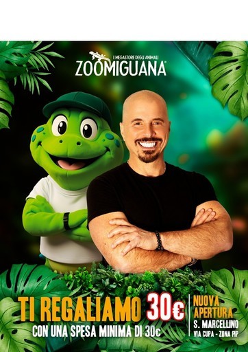 Offerte Zoomiguana