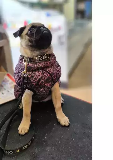 Offerte esclusive per i nostri clienti Offerte esclusive per i nostri clienti