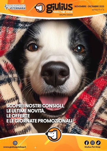 NOVEMBRE - DICEMBRE 2025