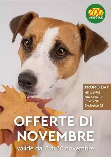 Offerte di Novembre