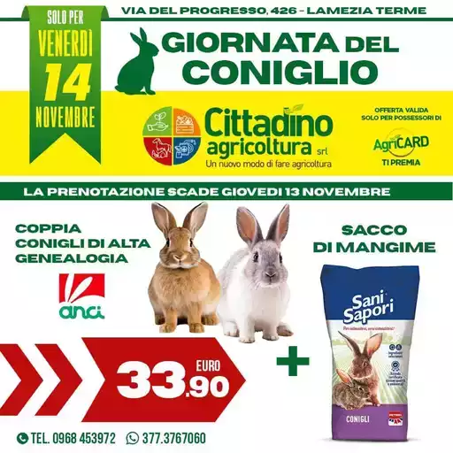 Giornata del coniglio Giornata del coniglio