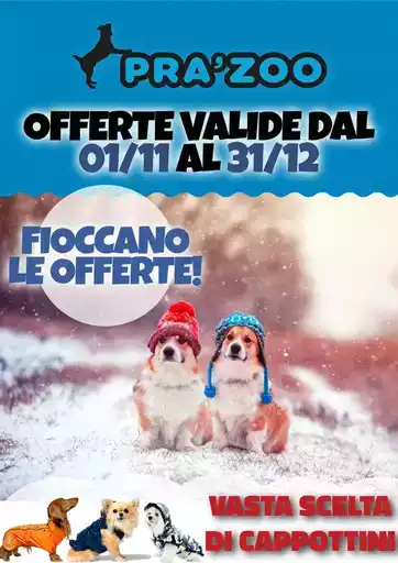 Fioccano le offerte!