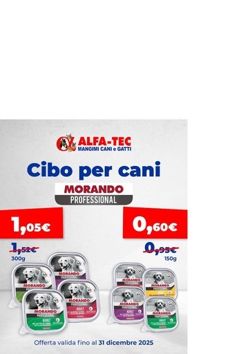 Offerte e promozioni attuali