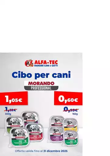 Offerte e promozioni attuali