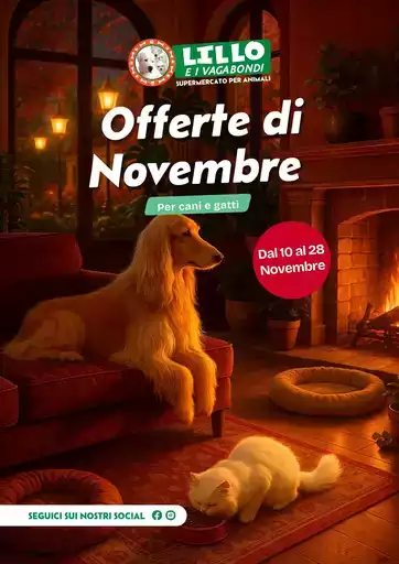 Offerte di novembre