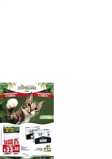 Volantino Zoomiguana