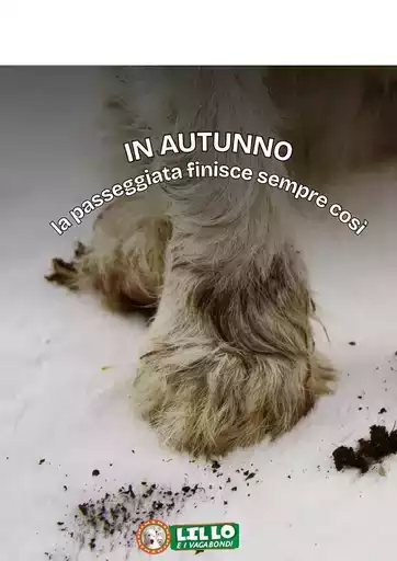 Offerte Lillo e i vagabondi