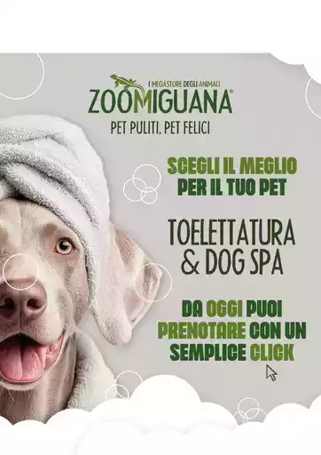 Offerte speciali attraenti per tutti