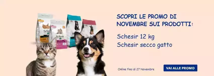 Scopri le promo di novembre sui prodotti