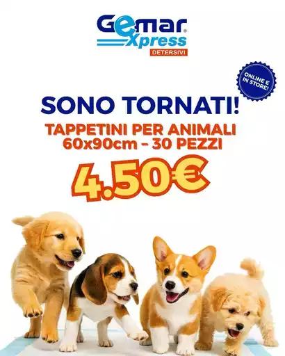 Offerte esclusive e affari