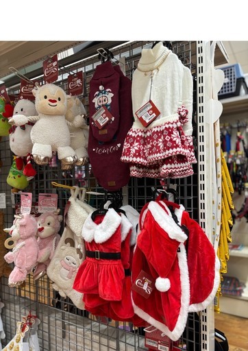 I nostri migliori affari