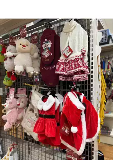 I nostri migliori affari