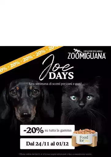 Offerte esclusive e affari