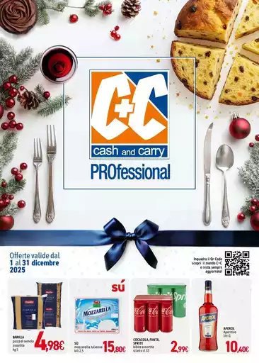 PROFESSIONAL PROFESSIONAL